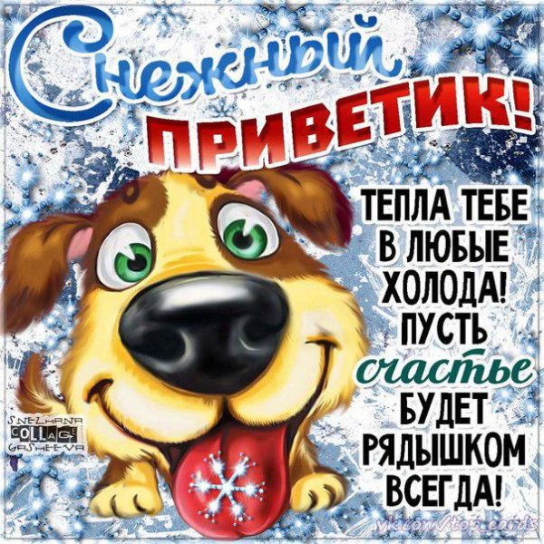 Зимний приветик