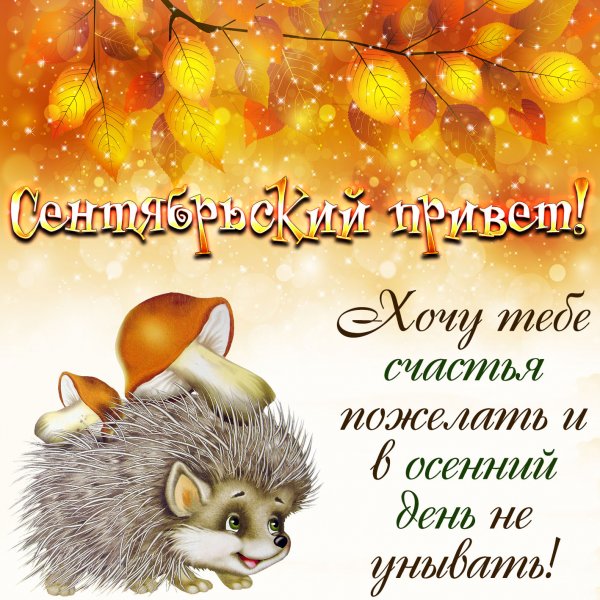 Добрые осенние пожелания