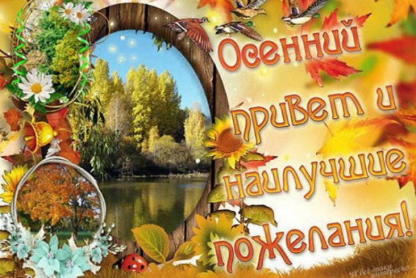 Открытки осень Золотая с пожеланиями