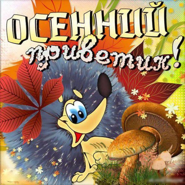 Открытки осенний привет