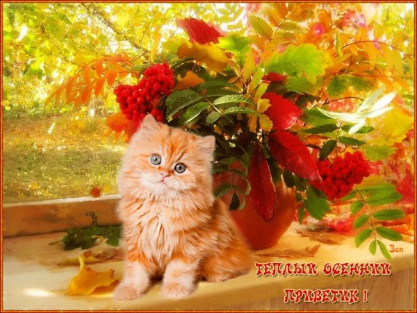Осенний приветик