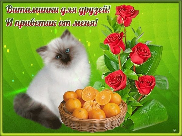 Открытка "другу!"