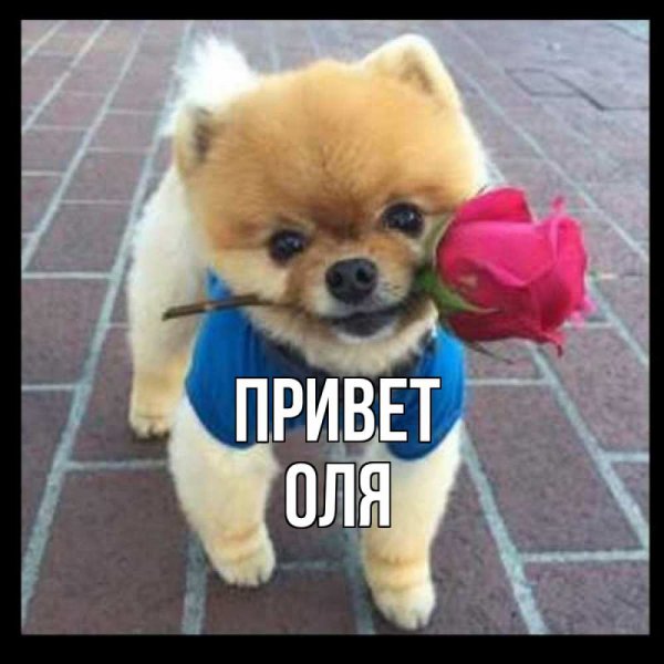 Хорошего дня Олечка