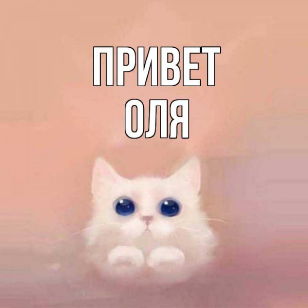 Bonjour анимированные открытки