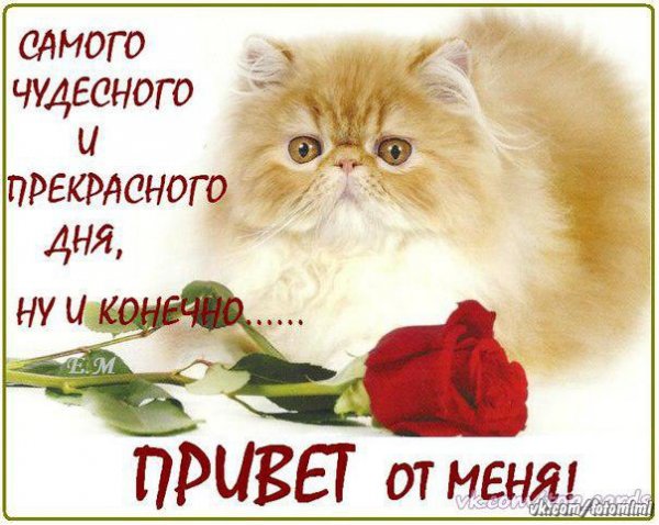 Открытки привет Оля