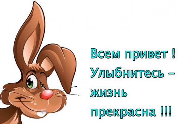 Всем привет картинки прикольные