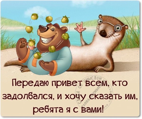 Приветствие в группу смешное