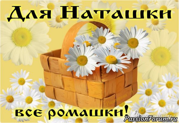 Наташа привет мемы