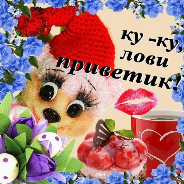 Прикольные приветствия