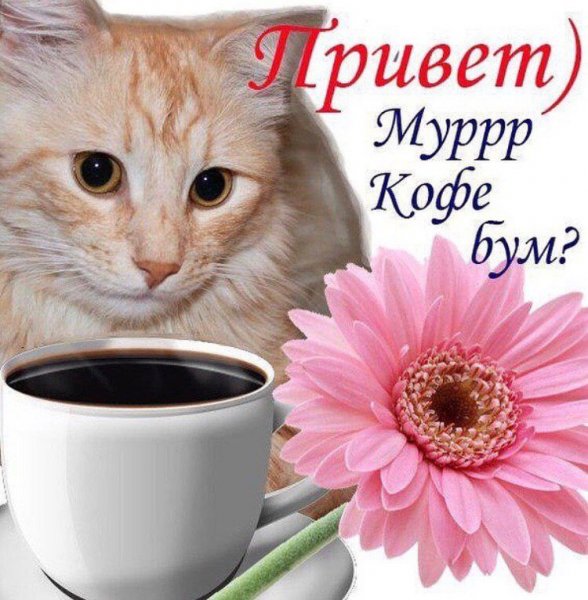 Привет доброе утро