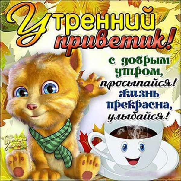 Привет с добрым утром