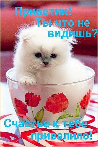 Доброе утро Светлана