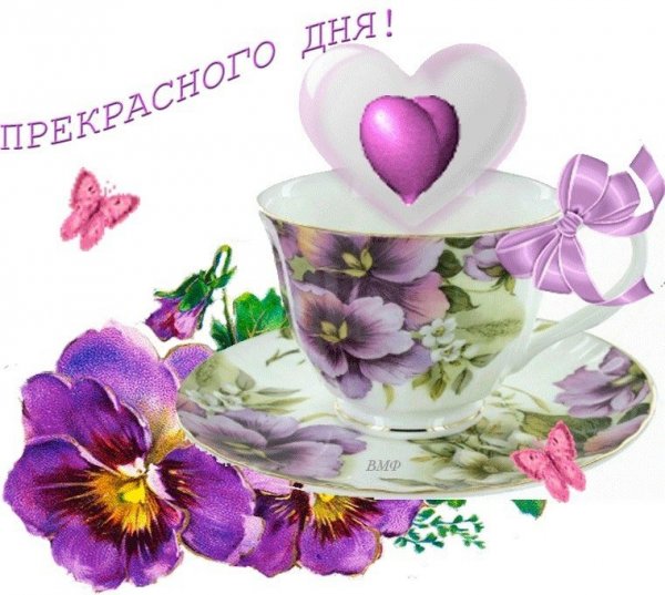 Стикеры добрый день красивые