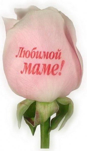 Картина для мамы с надписями