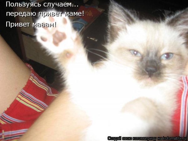 Маме привет передавай