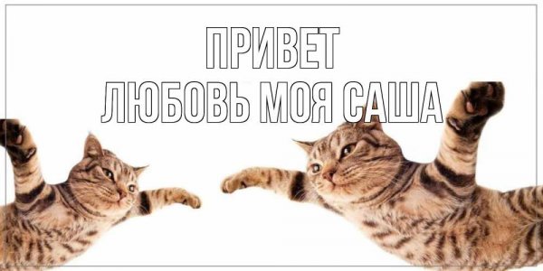 Привет Саша фото
