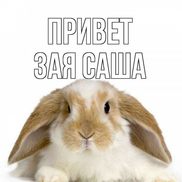 Привет Саша