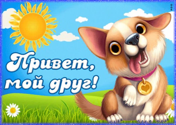Открытки со словом приветик