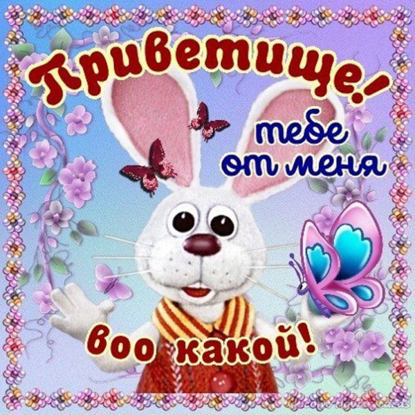 Открытки я к вам в гости