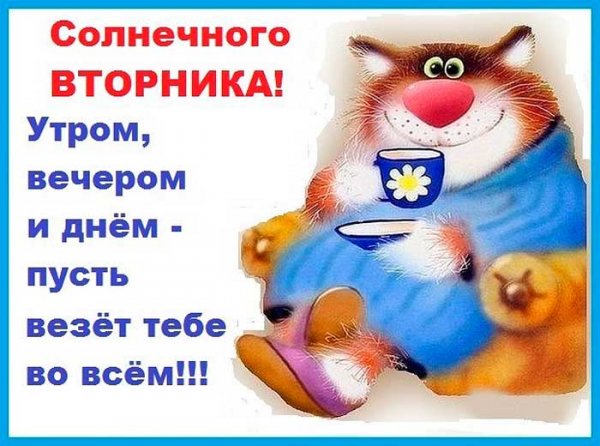 Доброе утро вторника