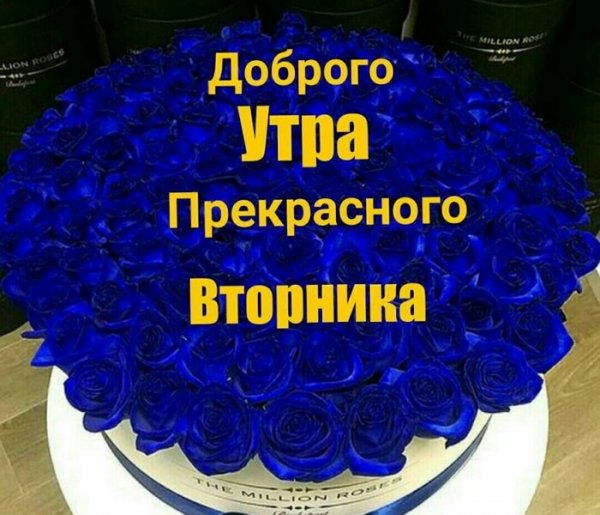 С добрым утром вторника