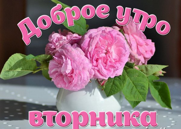 С добрым утром вторника