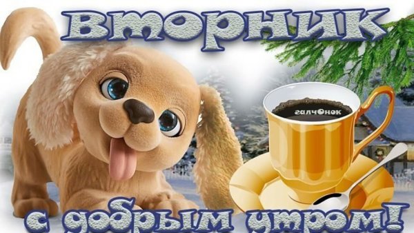 Открытки с добрым утром вторника зимние