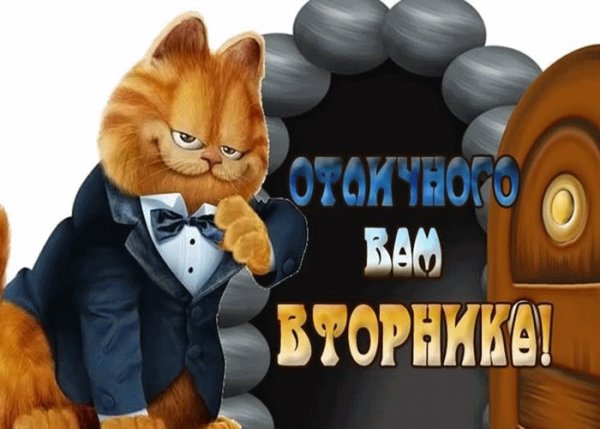 Вторник картинки прикольные