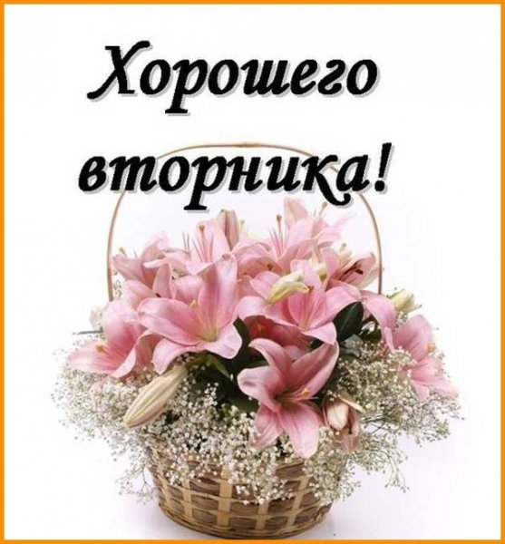 Поздравления со вторником