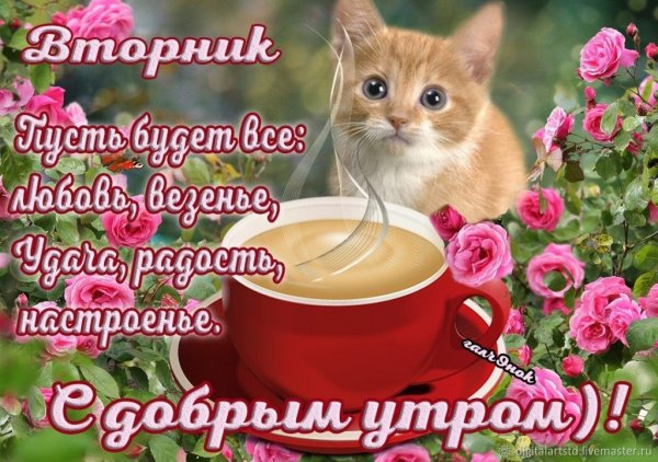 Поздравления со вторником