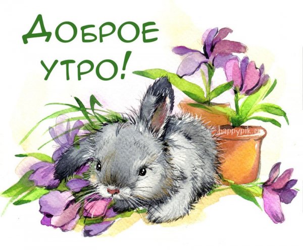 Высказывания про вторник