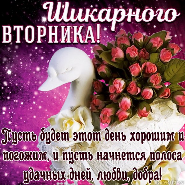 Вторник картинки прикольные