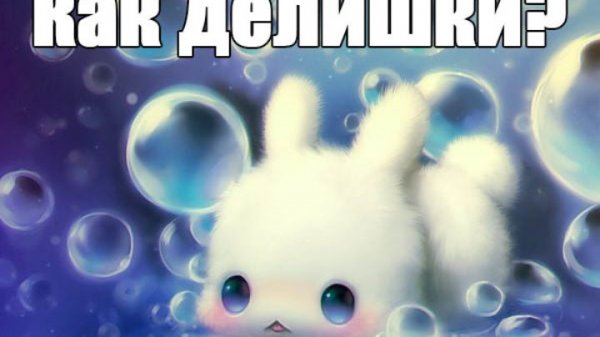 Здравствуй Дима