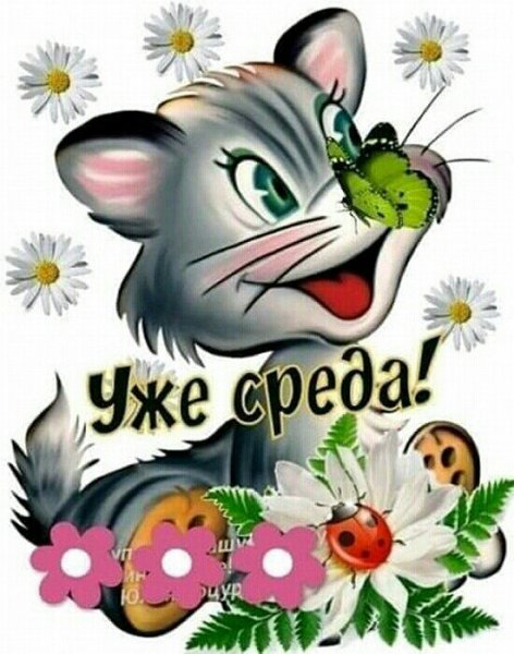 Пожелания на среду