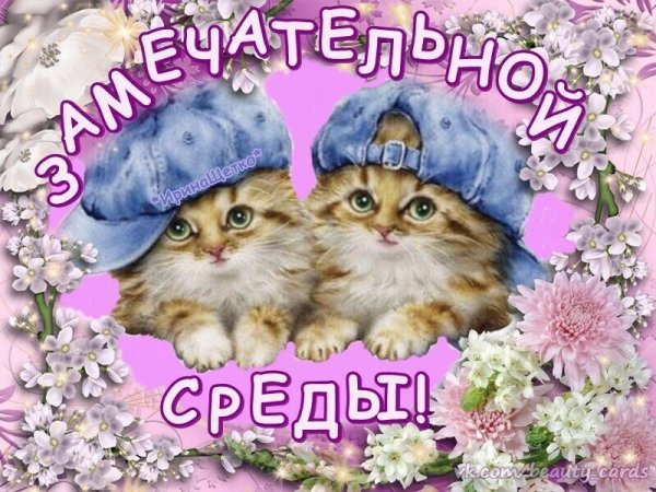 Поздравление со средой