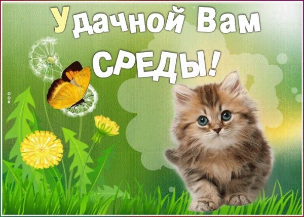 Открытки со средой прикольные