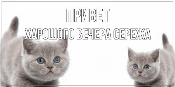 Привет Сережа