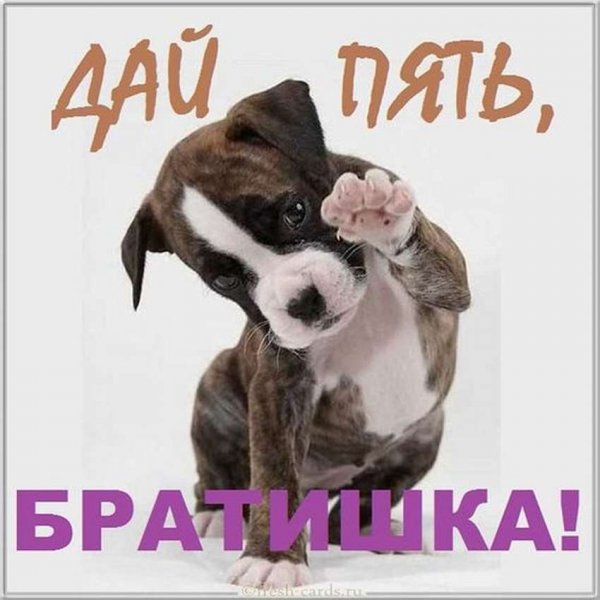 Открытки для брата просто