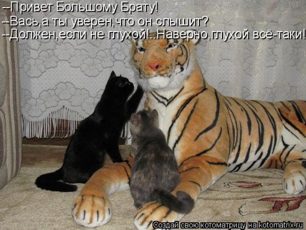 Открытка братан привет