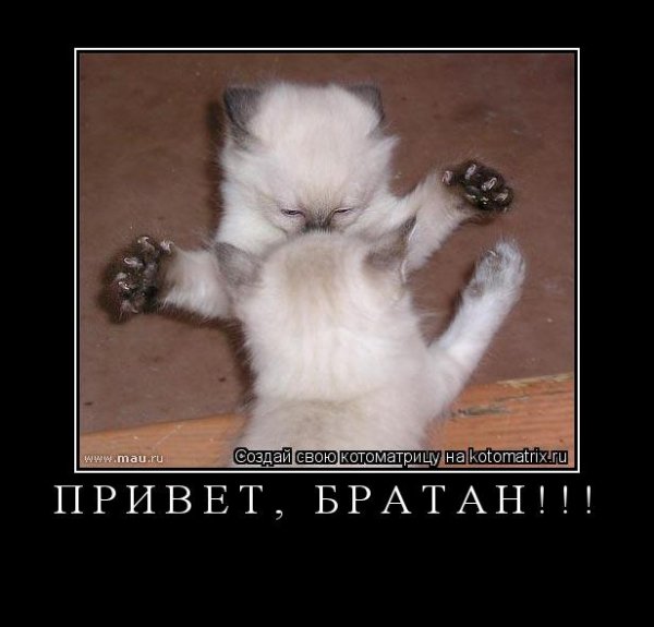 Открытки привет