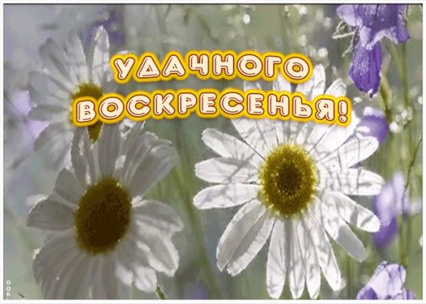 Открытки удачного воскресенья
