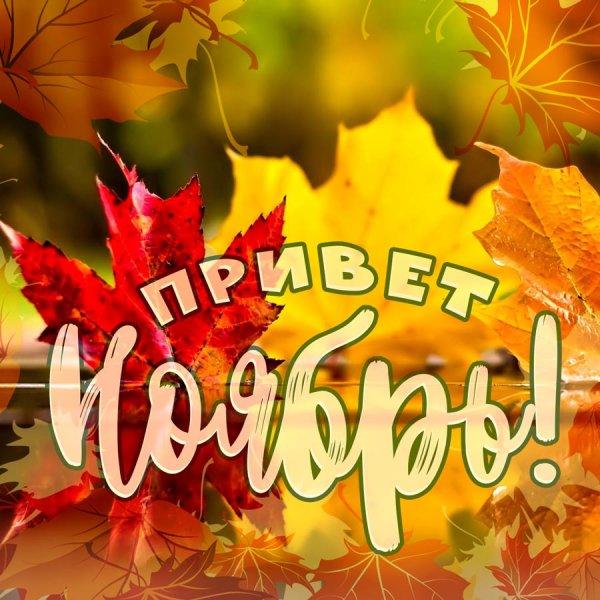 Привет ноябрь