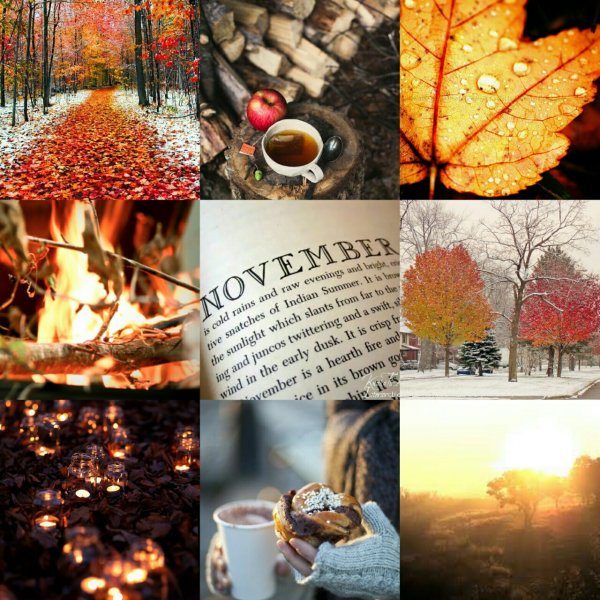 Ноябрь коллаж