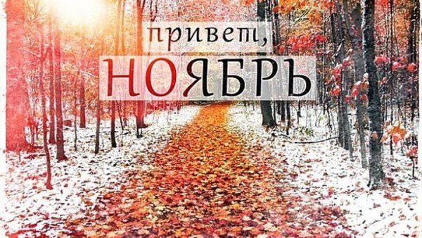 С первым днем ноября