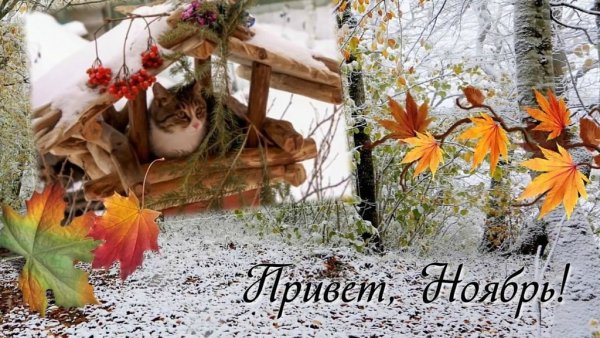 Здравствуй поздняя осень