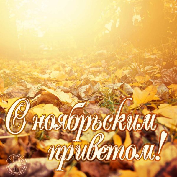 С первым днем ноября