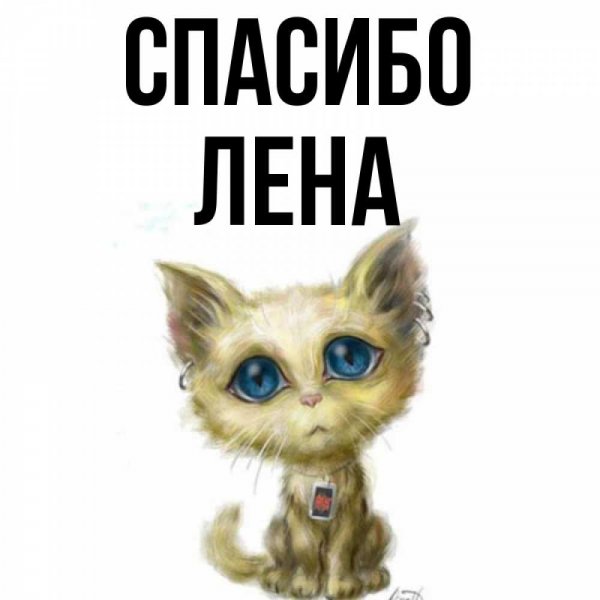 Приветик сестренка