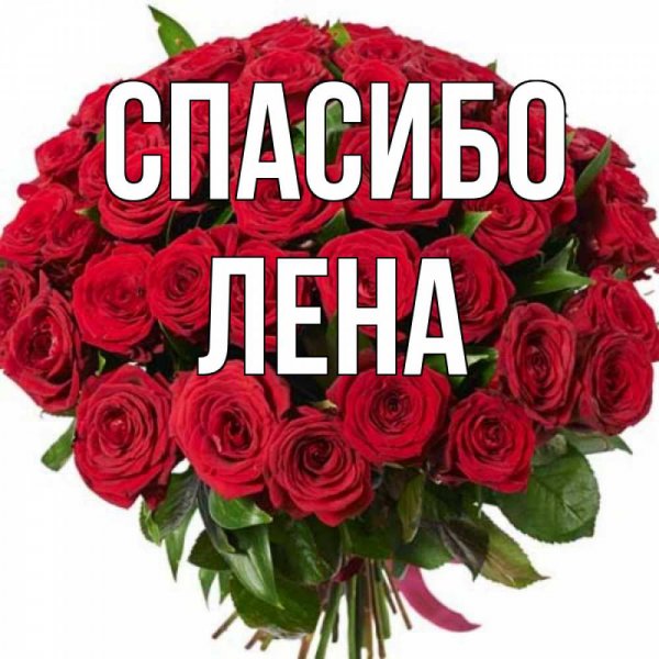 С днём рождения Светочка