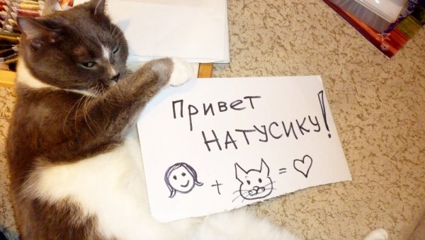 Пламенный привет