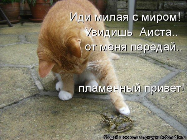 Фейерверк Пламенный привет